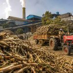 Maharashtra Government Proposes Rs 4,000 Crore Soft Loan for Cooperative Sugar Mills