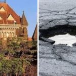 Bombay High Court Orders Compensation for Deaths, Injuries from Potholes and Open Manholes
