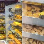 Mumbai: FDA Raids Badlapur Bakery After Alleged Rat Droppings Found in Food Samples; Investigation Ongoing