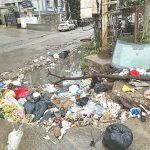Mumbai: Garbage Dumping Near BMC School at Jogeshwari Raises Health and Traffic Concerns