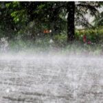 Thane, Palghar, and Raigad Brace for Varying Patterns Following Mumbai’s Rainfall