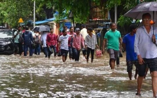 Heavy Rains Bring Relief To Water-Scarce Navi Mumbai, Morbe Dam Too Receives Good Rainfall 