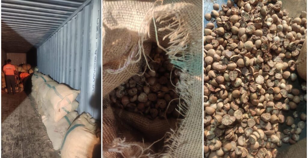 Mumbai: Directorate of Revenue Intelligence Foils Massive Arecanut Smuggling Operation at Jawaharlal Nehru Port